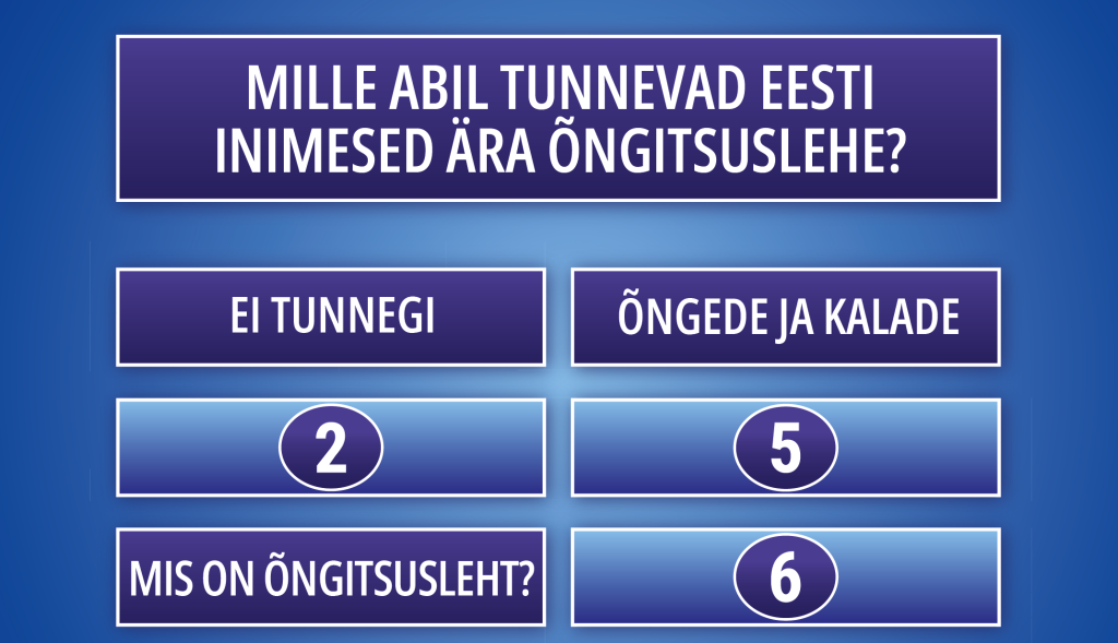 itvaatlik_ongitsus.PNG